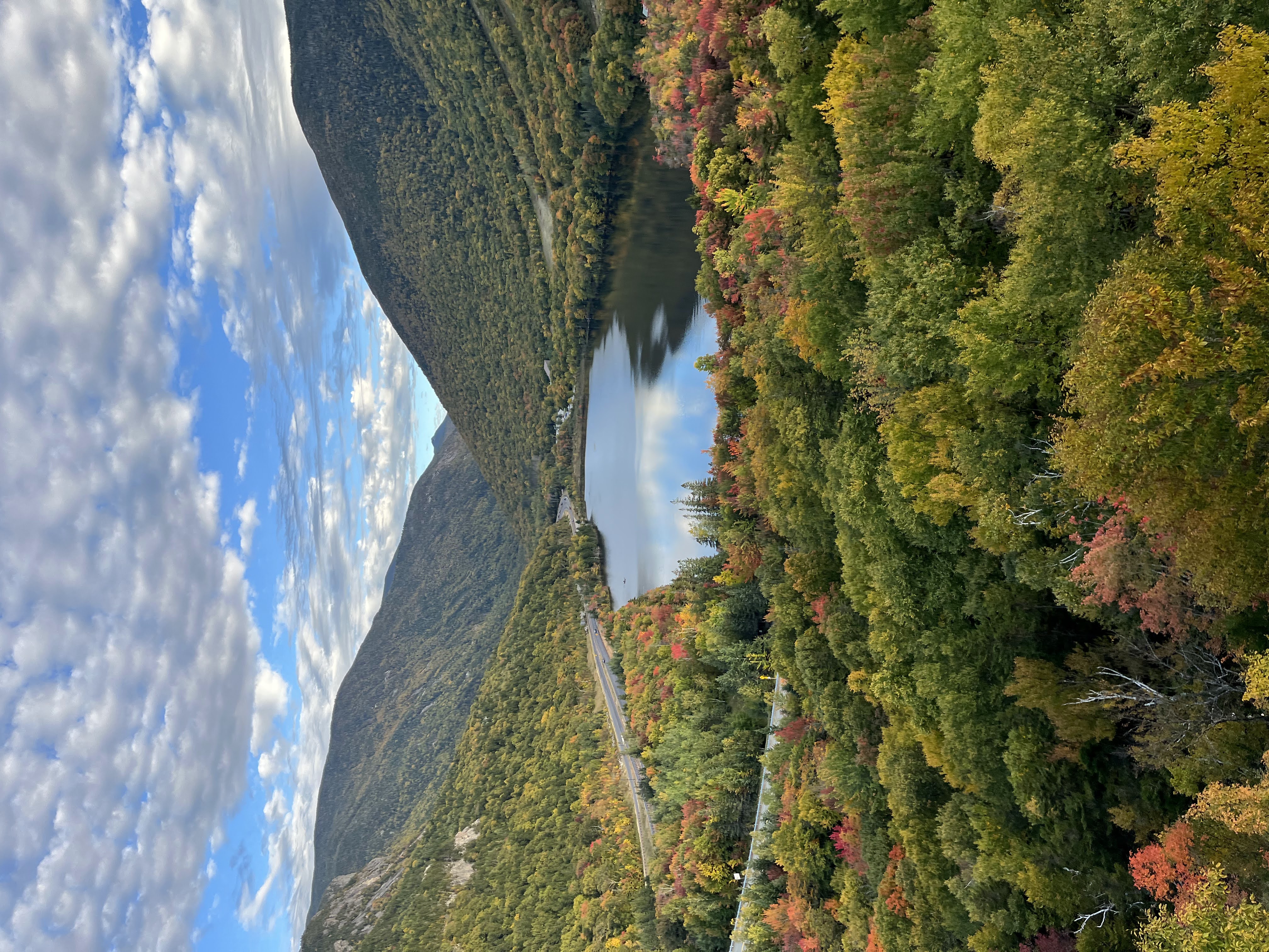 test image